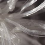 Gespinst Detail (6)