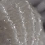 Körbchen Detail (11)